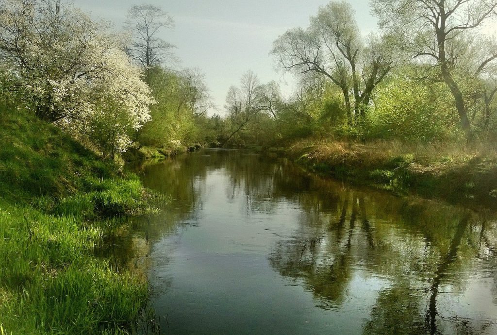 Автор статті про надійний хостинг та VPS хостинг у 2025 році