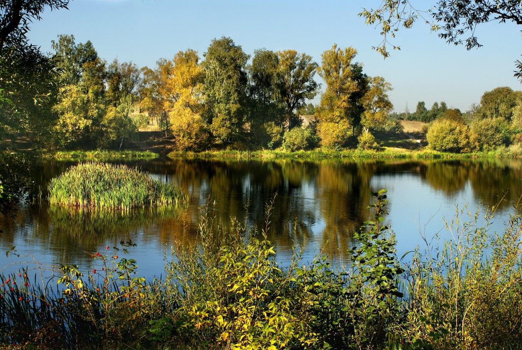 Огляд робочих варіантів free hosting 2025 для хостингу без оплати